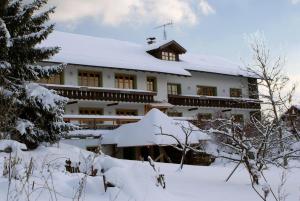 un edificio cubierto de nieve con árboles nevados en Pension Landhaus Riedelstein, en Drachselsried