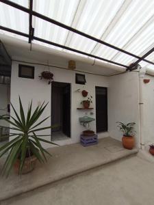 a patio with plants and a building with a roof at Casa de los gatos in San Cristóbal de Las Casas