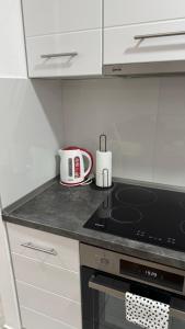 Kuchyň nebo kuchyňský kout v ubytování Apartman Pazova