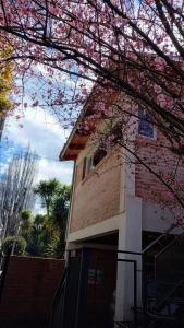 un bâtiment avec un arbre et des fleurs roses dans l'établissement Anlupa Departamento, à El Bolsón