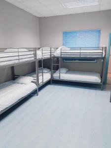 Łóżko lub łóżka w pokoju w obiekcie Hostel Las Rosas