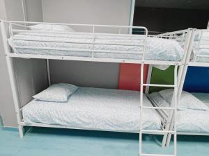 Łóżko lub łóżka piętrowe w pokoju w obiekcie Hostel Las Rosas