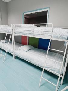 Łóżko lub łóżka piętrowe w pokoju w obiekcie Hostel Las Rosas