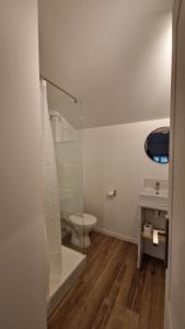 a bathroom with a toilet and a glass shower at Le Bourg in Lagnieu +31 photos