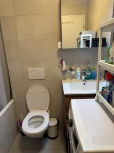 a small bathroom with a toilet and a sink at Apartamento Ginebra ch in Geneva