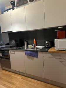 a kitchen with white cabinets and a sink at Apartamento Ginebra ch in Geneva