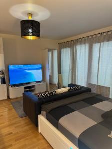 a bedroom with a bed and a flat screen tv at Apartamento Ginebra ch in Geneva