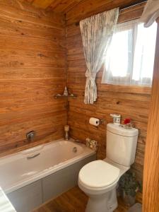 a bathroom with a toilet and a bath tub at The Country Cabin in Caledon +18 photos