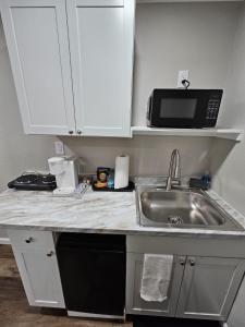 クリーブランドにあるThe Urban Oasisのシンクと電子レンジ付きのキッチンカウンター