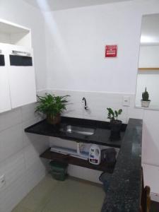 uma cozinha com um lavatório e um balcão com plantas em Kitnet na praia da Macumba no morro do Rangel no Rio de Janeiro mais 1 fotografia