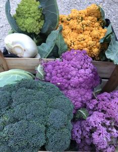 Φαγητό σε αυτό το κατάλυμα σε φάρμα ή κάπου εκεί κοντά