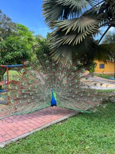 Laste mänguala majutusasutuses Mirador El paraiso glamping