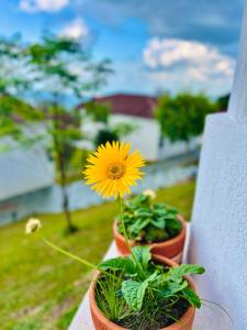 Loodusmaastik hotelli lähedal