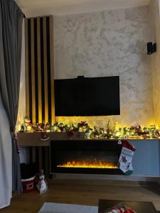 a living room with a fireplace with a television above it at Apartman Njegoš Lux Titova vila in Palisad