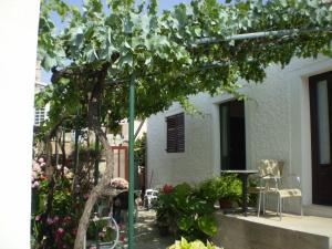 Hrvatska, SUČURAJ-HVAR, Apartment Smi