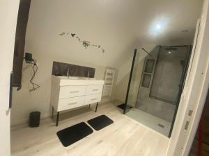 a bathroom with a shower and a sink and a mirror at Le petit refuge in Saint-Béron