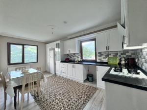 Η κουζίνα ή μικρή κουζίνα στο Hamsiköy Lifora House