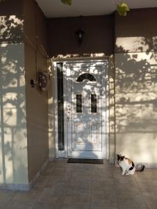 Fotografie z fotogalerie ubytování Kolhida home v destinaci Kilkís