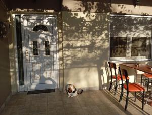 Fotografie z fotogalerie ubytování Kolhida home v destinaci Kilkís