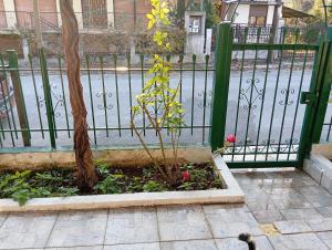Zahrada ubytování Kolhida home