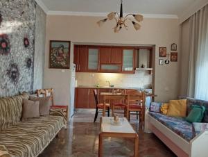 Kuchyň nebo kuchyňský kout v ubytování Kolhida home