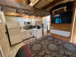 Kuchyň nebo kuchyňský kout v ubytování Stoney Mtn High-duh-way 420&Pets yes + 23 fotografií