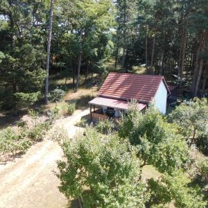 a small house with a red roof in the woods at Wald&Wiesengeflüster Zechlinerhütte in Rheinsberg