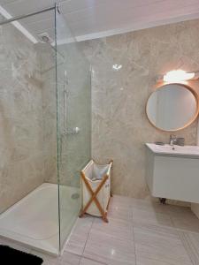 a bathroom with a shower and a sink and a mirror at Le Mahogany sur la plage de Petit-Anse in Bouillante