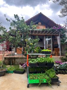 Zahrada ubytování Homestay Bảo Lộc Ngọc Kim