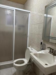 a bathroom with a toilet and a sink and a shower at Departamento independiente en Juárez in Ciudad Juárez