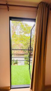 Brightstar Hostel室外花園
