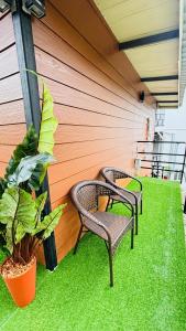 Brightstar Hostel室外花園