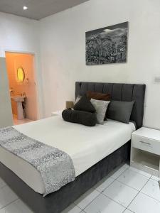 Manshu Guest House في هراري: غرفة نوم بسرير ابيض كبير عليها مخدات