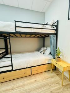 第比利斯Cosy Koala Hostel的相册照片