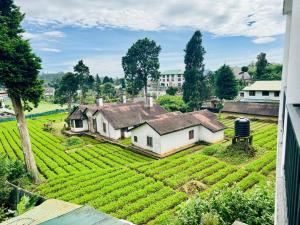 an old farm house in a field of crops at Highland View in Nuwara Eliya
