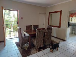 a dog standing in front of a dining room table at The Green Lizard Self-catering House in Nelspruit