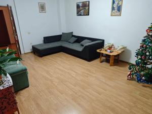 a living room with a couch and a christmas tree at Casa DaLi in Sibiu