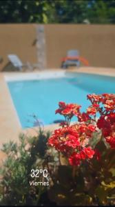 Πισίνα στο ή κοντά στο La Rufina Lodge