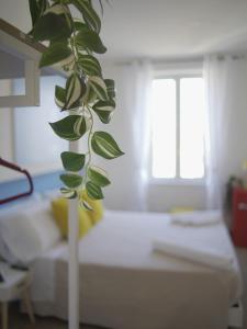 a green plant in a room with a bed at Bacoli Elegant Suite - Central & Minimal Design in Bacoli +19 photos