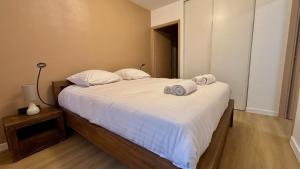 Postel nebo postele na pokoji v ubytování T2 - vue lac - 100 m du Hilton - Garage privé - 4 étoiles