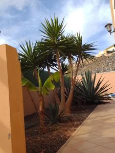 Afbeelding uit fotogalerij van A casa di Ilaria in Corralejo