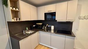 Kuchyň nebo kuchyňský kout v ubytování T2 - vue lac - 100 m du Hilton - Garage privé - 4 étoiles