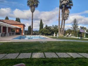 a swimming pool in a yard with palm trees at Retiro dos Cedros - Quarto Vinhas in Fogueira +48 photos