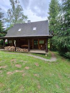 a log cabin with a porch and a yard at Dwerniczówka in Dwernik +8 photos