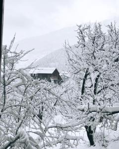 冬天的Amarys Boutique Stays Manali