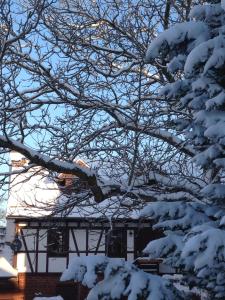 Ferienhaus Annabell v zimě
