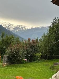 山景或在度假酒店看到的山景