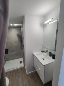un bagno bianco con doccia e lavandino di Studio indépendant a Saint-Égrève