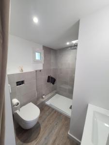 e bagno con servizi igienici bianchi e doccia. di Studio indépendant a Saint-Égrève