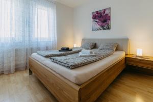 a bedroom with two beds and a large window at Große Ferienwohnung Burgenland in Eisenstadt